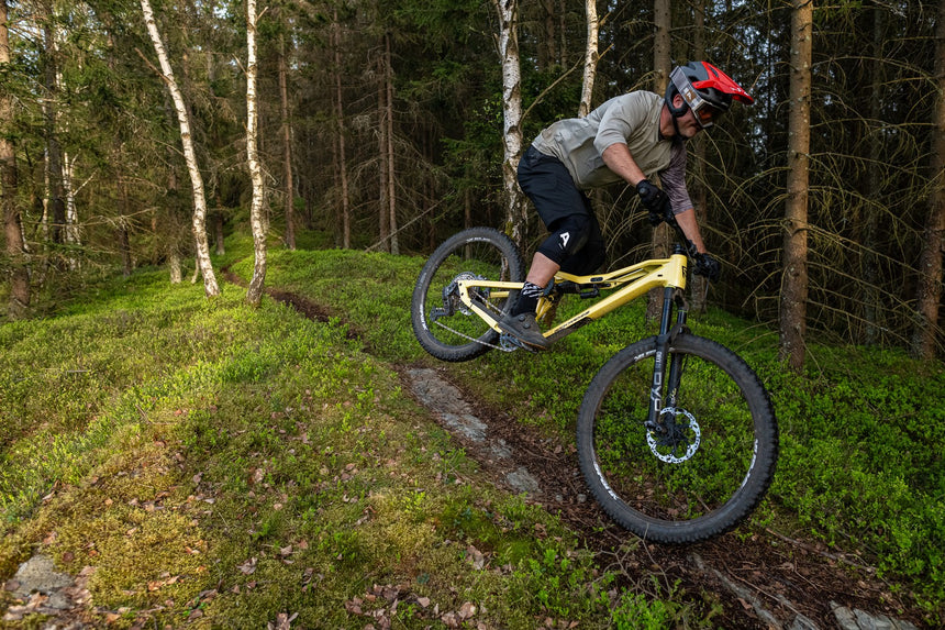 Silvini men's shorts MP1805 Fabriano